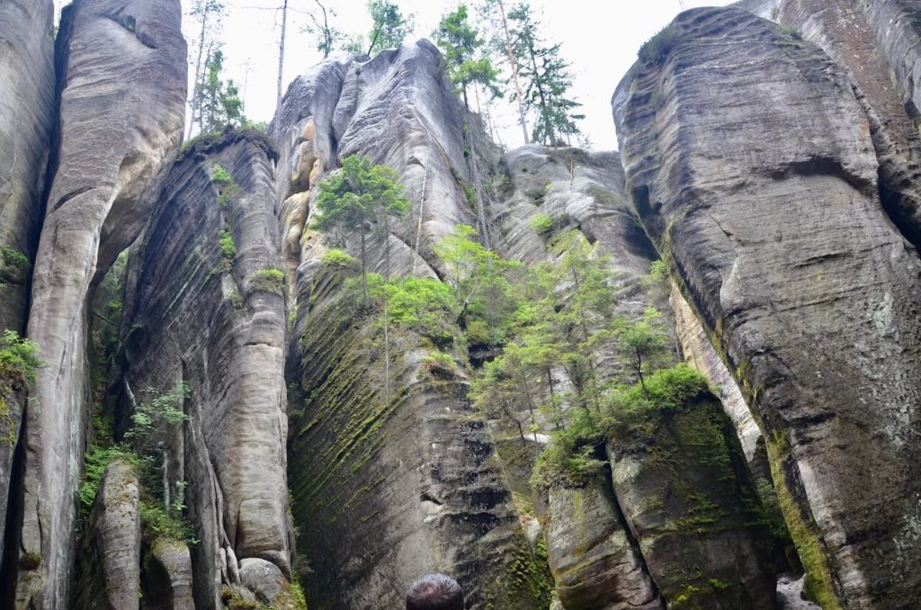 Adrspach Rocks - Rock city in the Czech