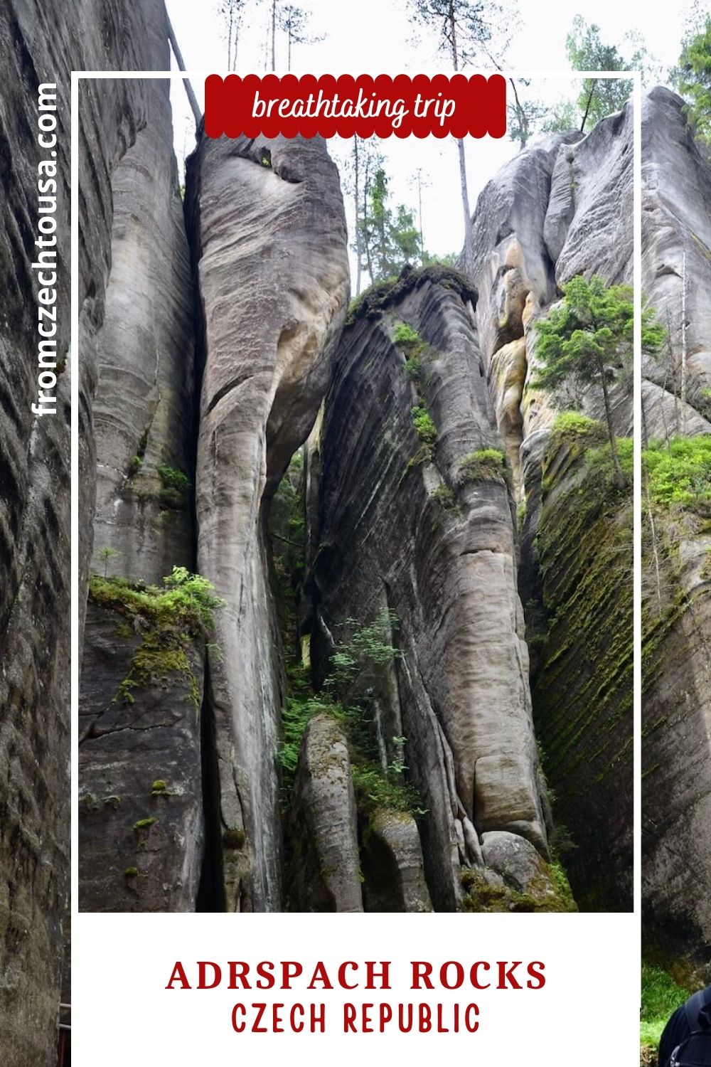 Adrspach Rocks - Rock city in the Czech